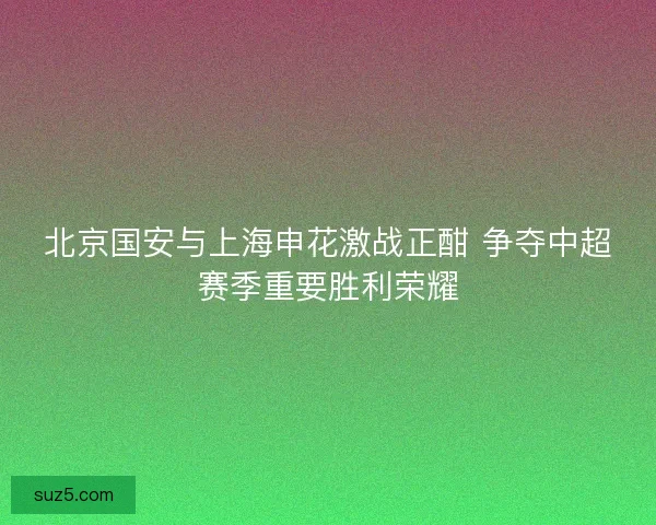 北京国安与上海申花激战正酣 争夺中超赛季重要胜利荣耀